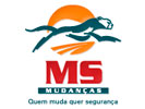 MS Mudanças  e transportes